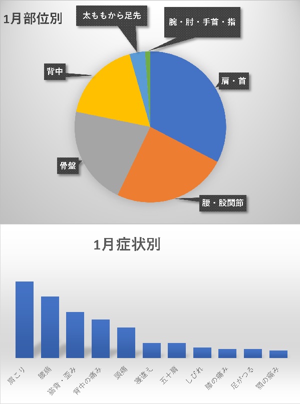 1月のお悩み部位・症状