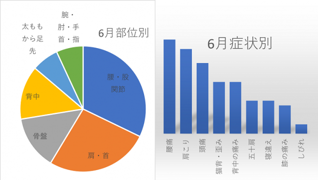 6月お悩み部位・症状